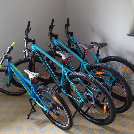 Familien-Sportappartements Wetzel Menzenschwand-Hinterdorf Exteriör bild