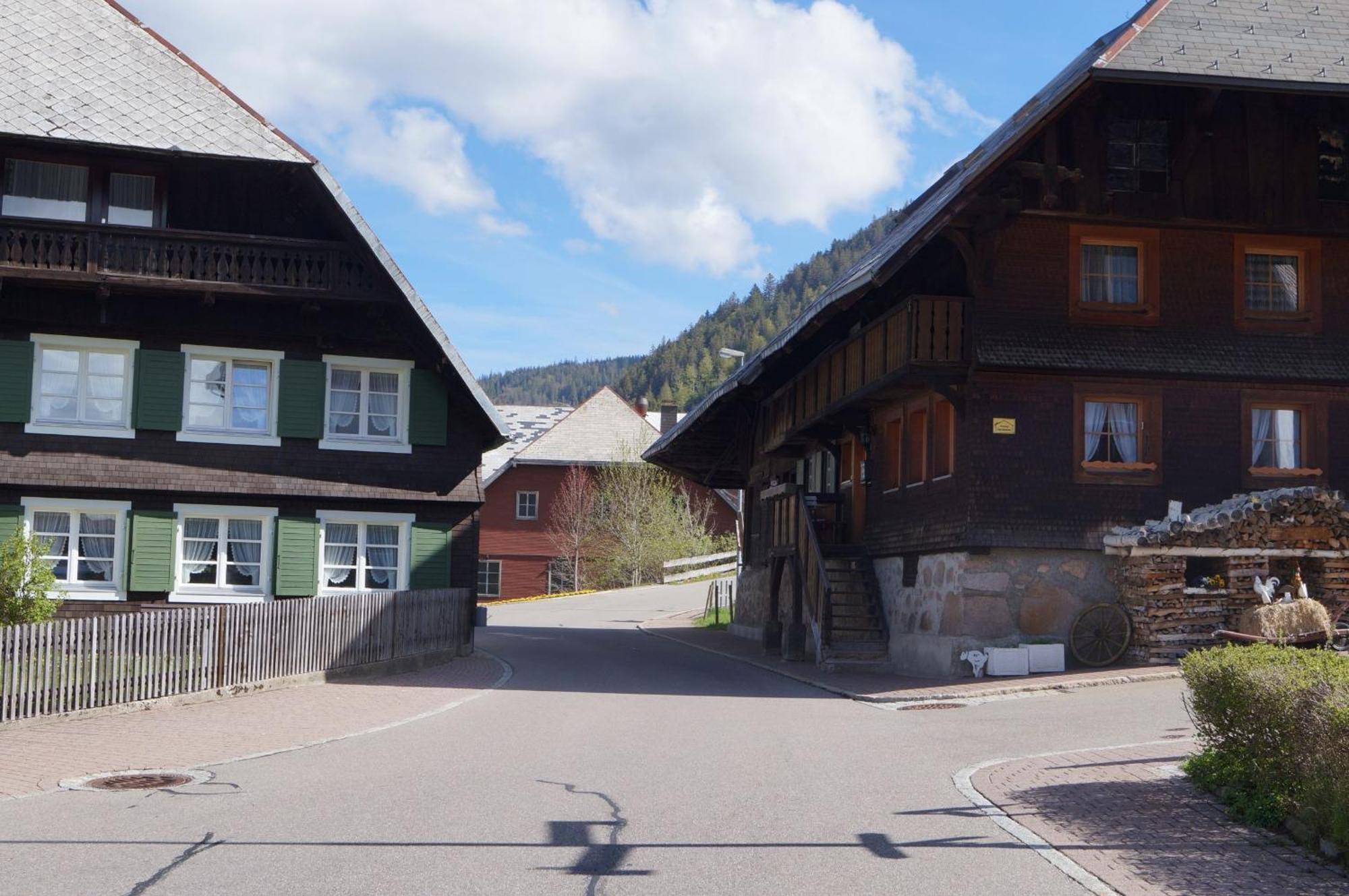 Familien-Sportappartements Wetzel Menzenschwand-Hinterdorf Exteriör bild