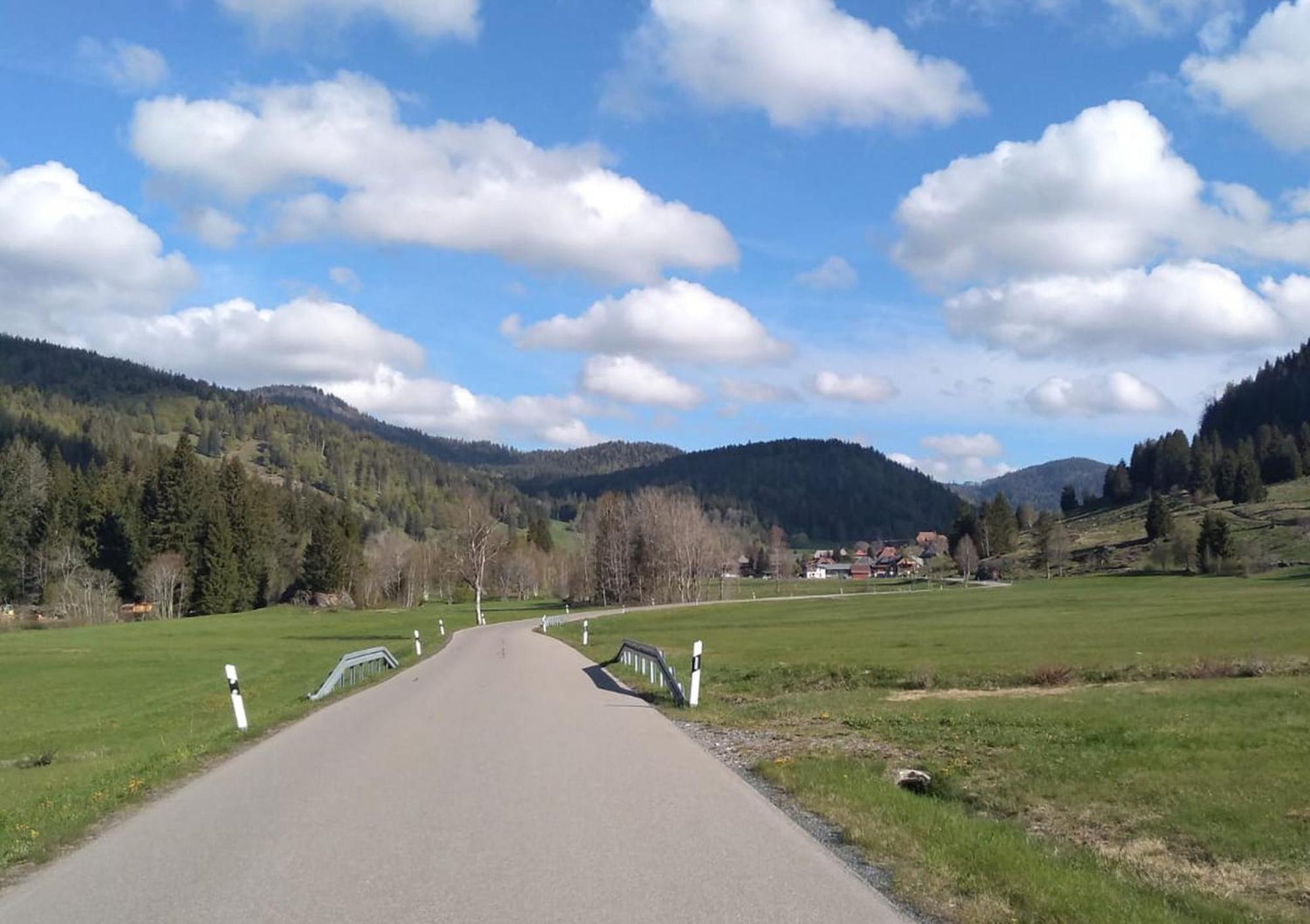 Familien-Sportappartements Wetzel Menzenschwand-Hinterdorf Exteriör bild