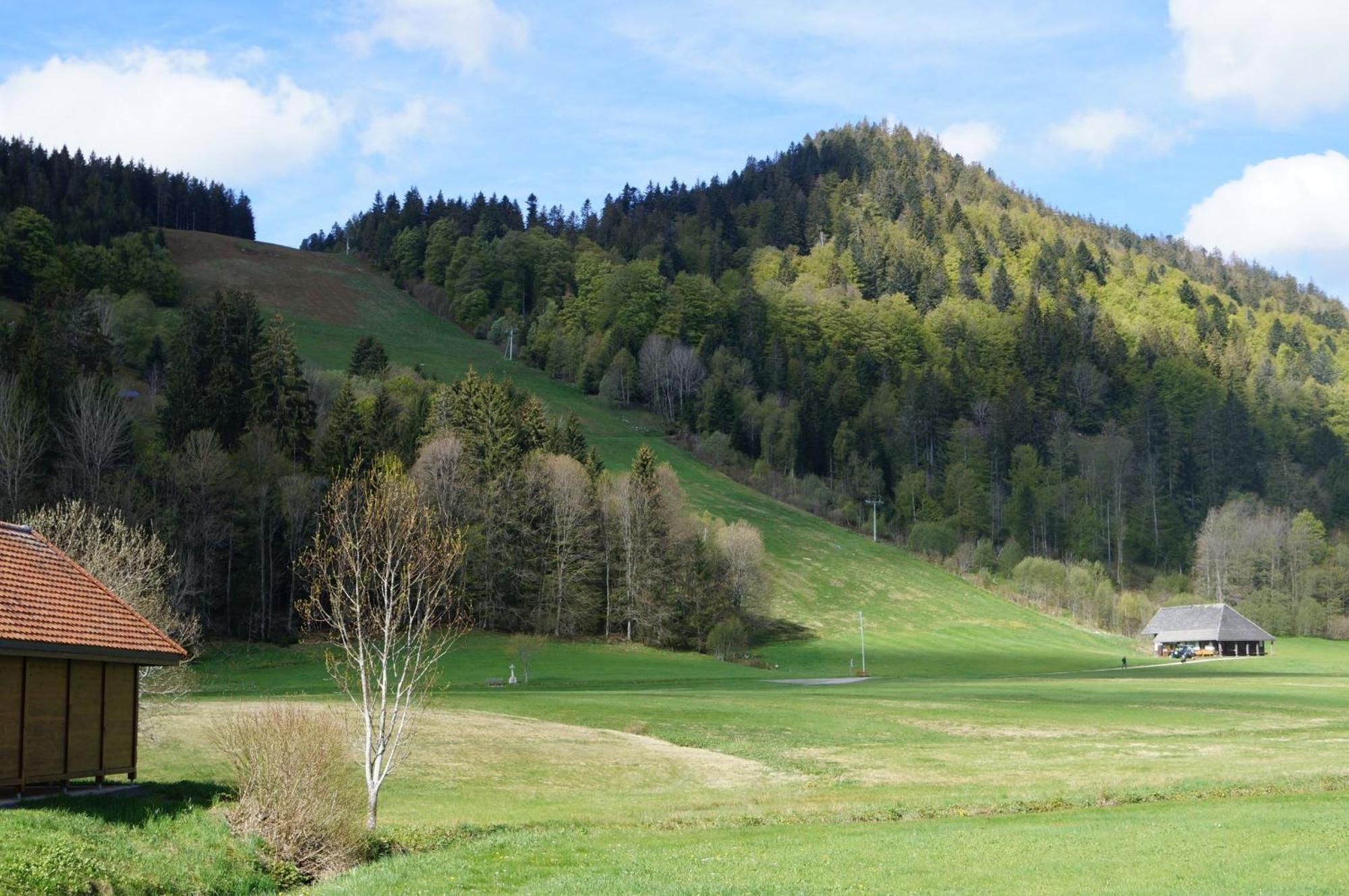 Familien-Sportappartements Wetzel Menzenschwand-Hinterdorf Exteriör bild