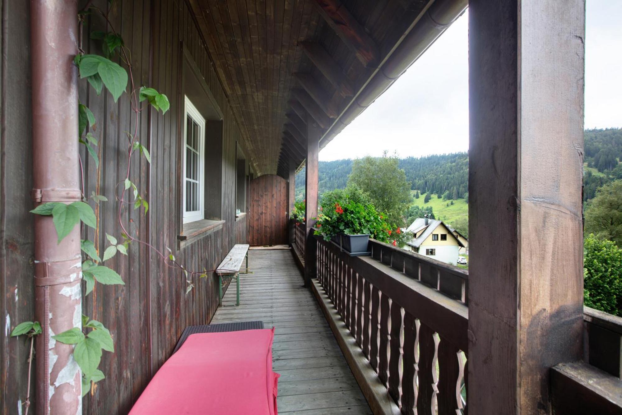 Familien-Sportappartements Wetzel Menzenschwand-Hinterdorf Exteriör bild